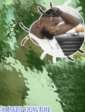 Men's beard braids